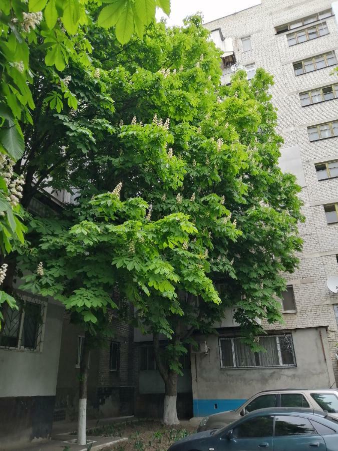 Apartments near the sea Oldenburg Bagian luar foto